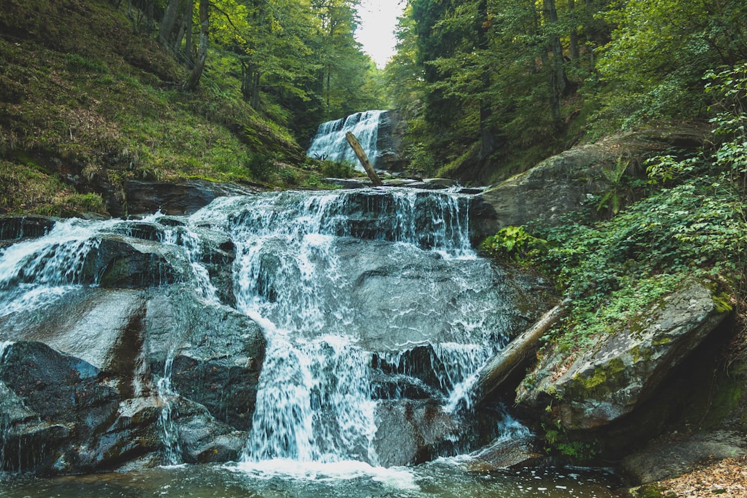 a small waterfall in the middle of a forest